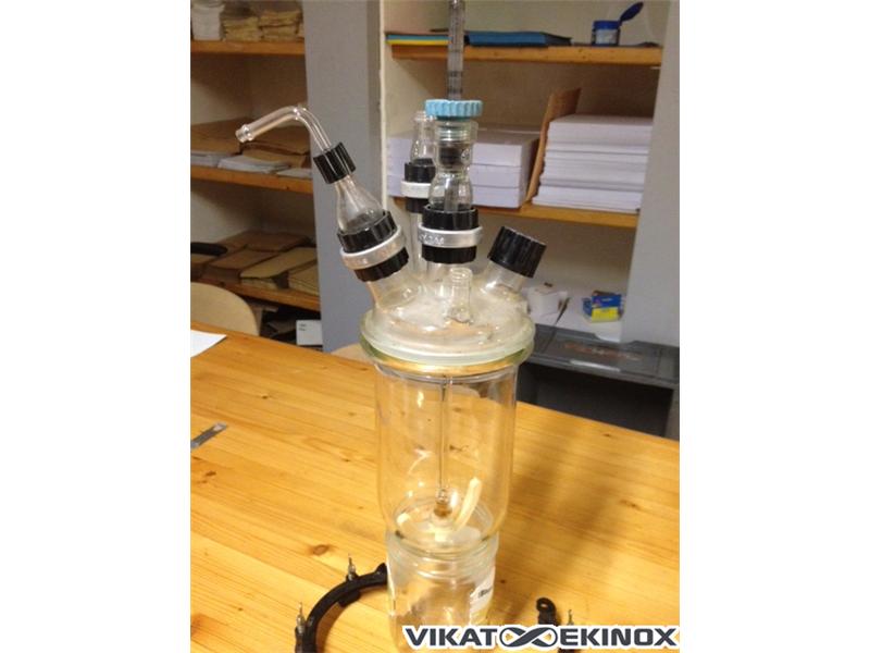 Réacteur en verre 1L utile