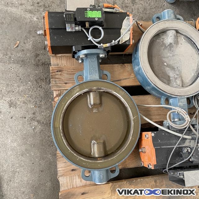 EBRO Butterfly Valve DN250