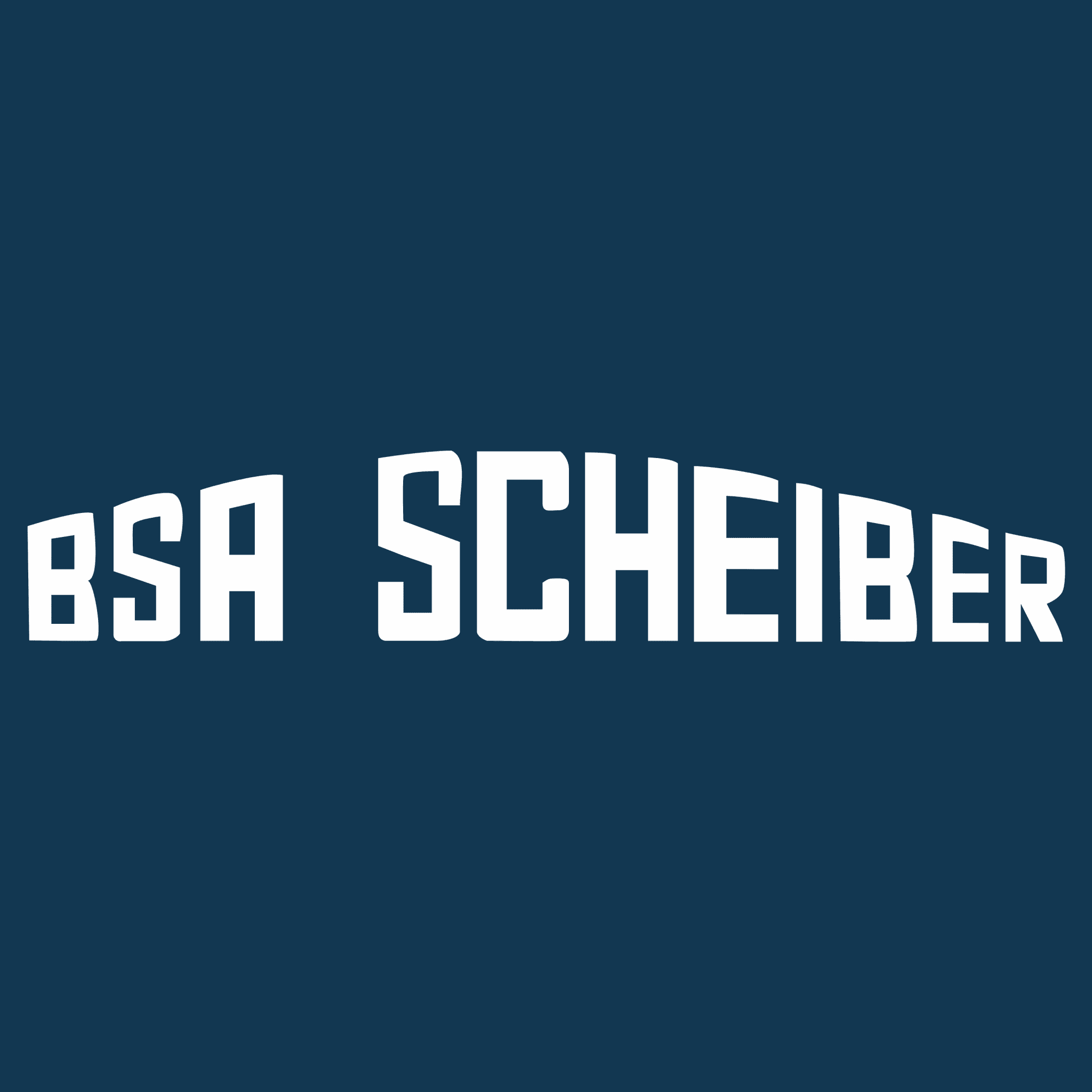 BSA SCHEIBER